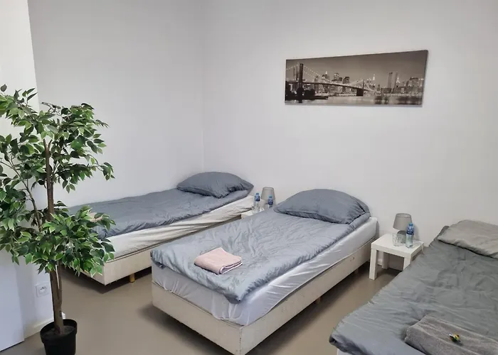 홈스테이 Primax *